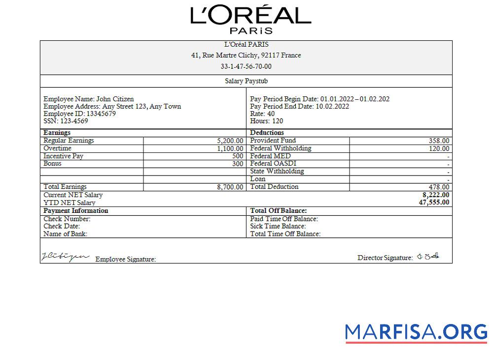 Downloadable France Loreal Paris cosmetic distributing company template